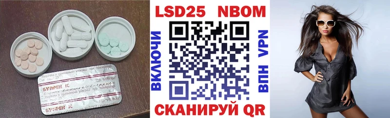 kraken зеркало  Гатчина  ЛСД экстази кислота 